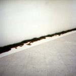 Salvatore Falci, 1990, Erba Portici, galleria Lia Rumma, Napoli copia